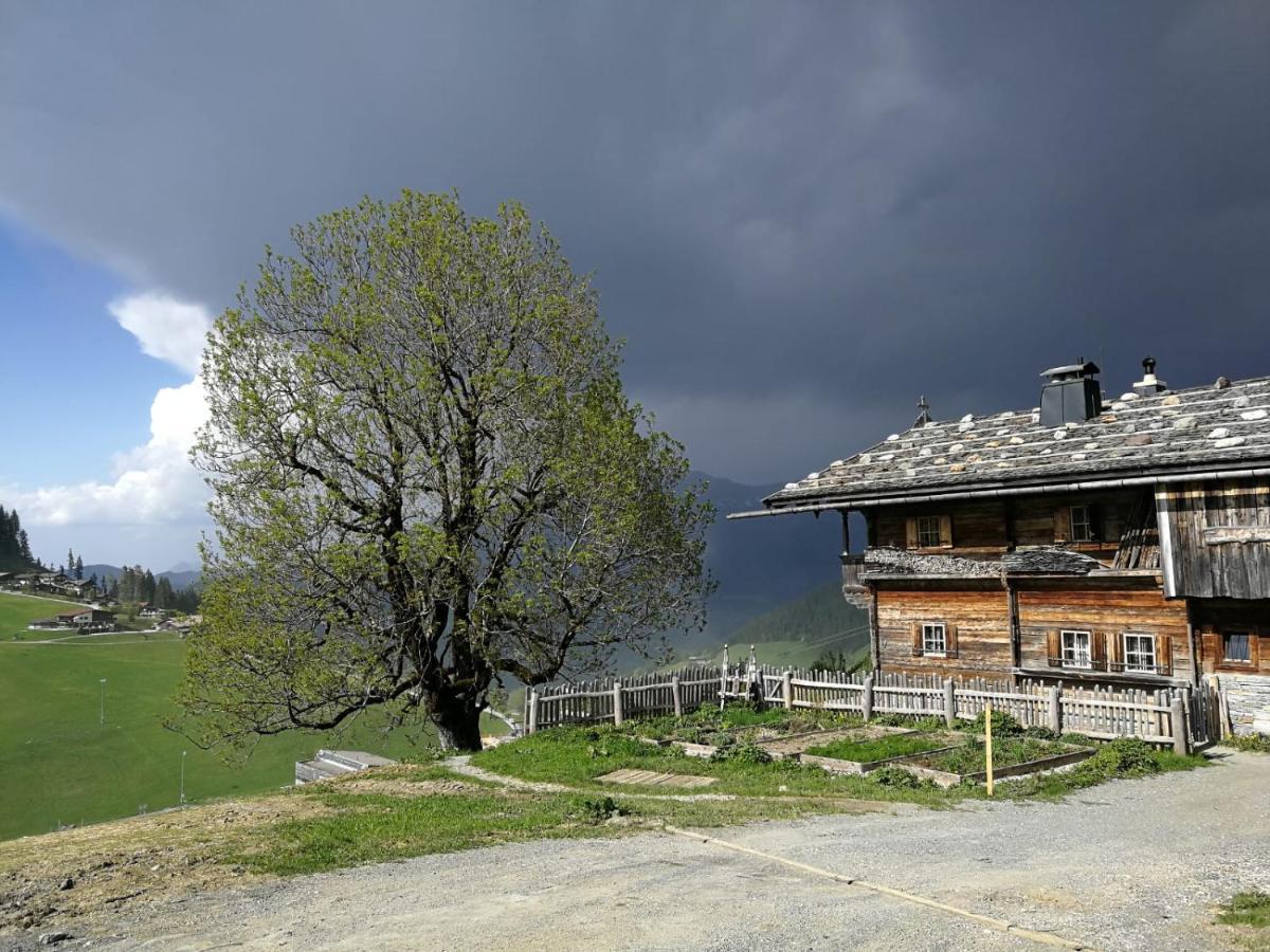Appartements Alpenblick Soell 외부 사진